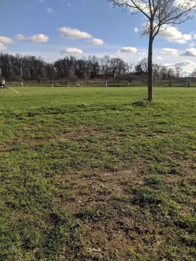 Olson Dog Park - Ann Arbor,