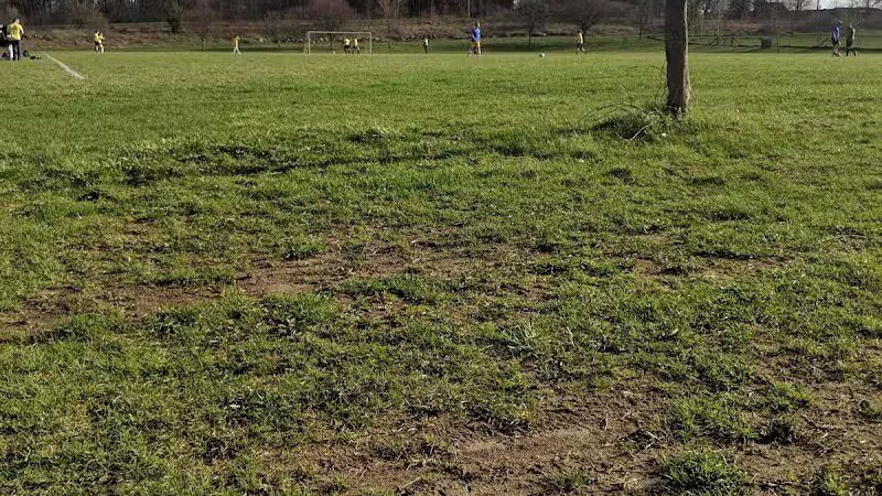 Olson Dog Park - Ann Arbor,