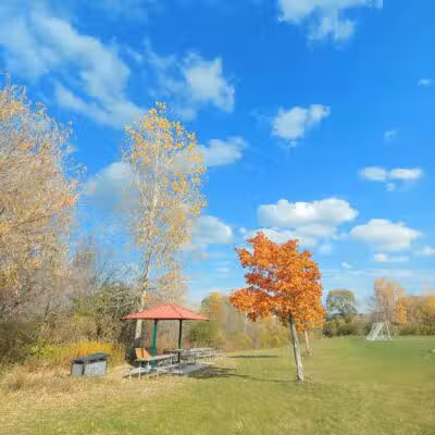 Olson Dog Park - Ann Arbor,