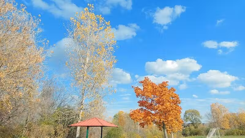 Olson Dog Park - Ann Arbor,
