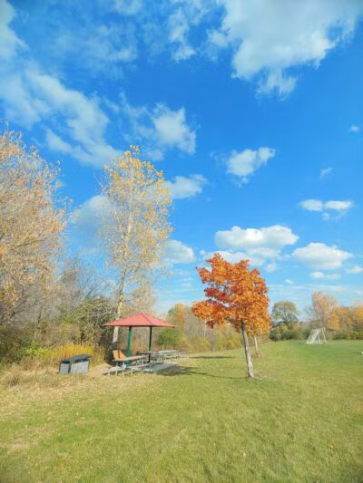 Olson Dog Park - Ann Arbor,