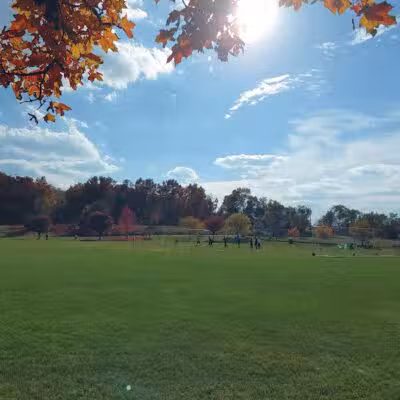 Olson Dog Park - Ann Arbor,