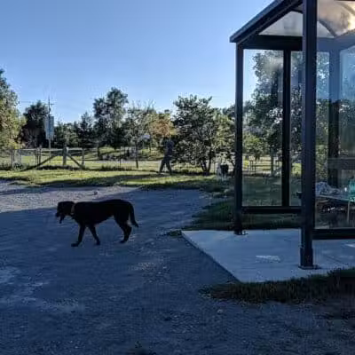 Olson Dog Park - Ann Arbor,