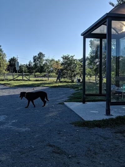 Olson Dog Park - Ann Arbor,