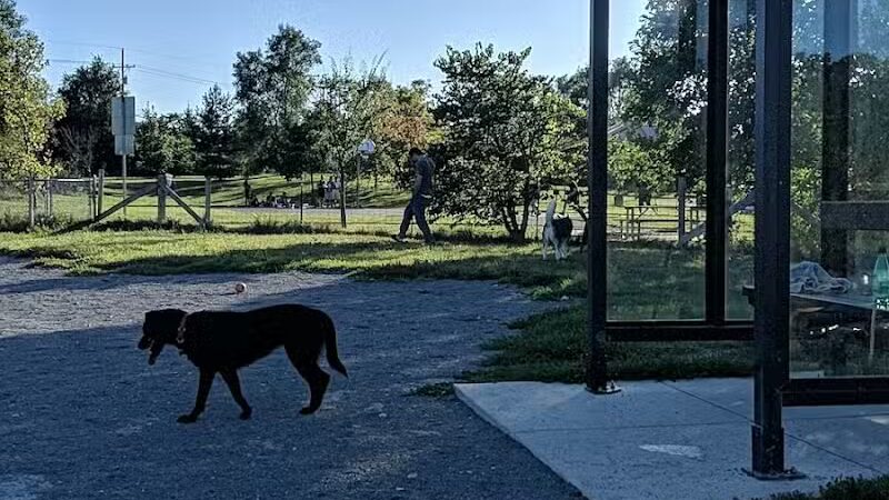 Olson Dog Park - Ann Arbor,