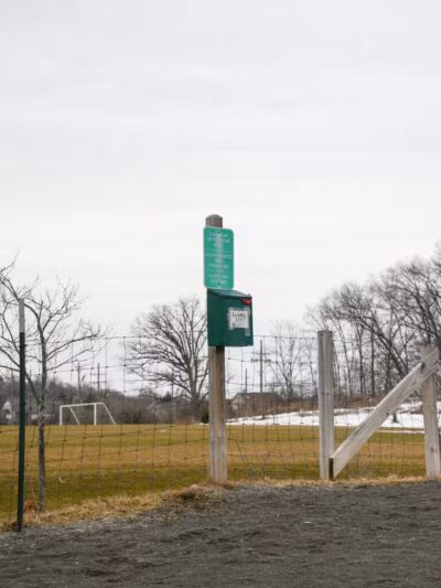 Olson Dog Park - Ann Arbor,