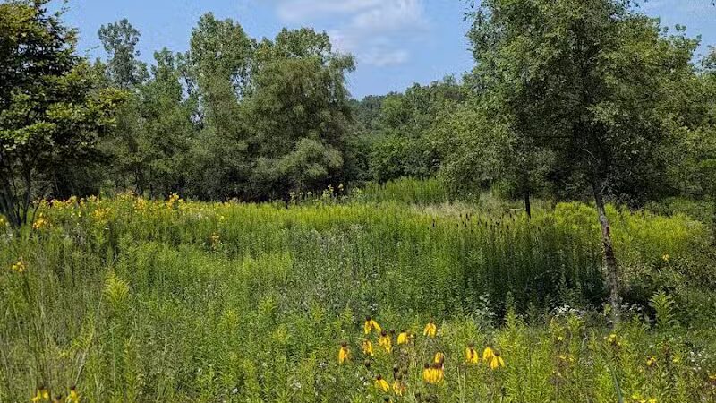 Olson Park - Ann Arbor,