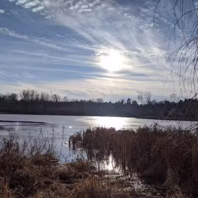 Olson Park - Ann Arbor,