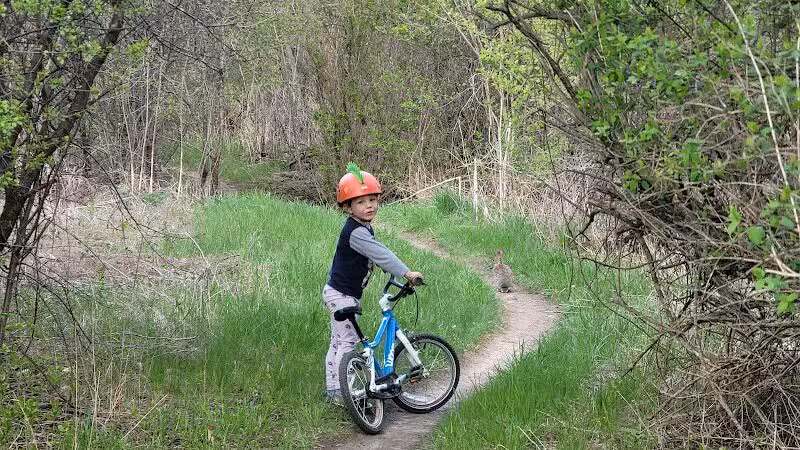 Olson Park - Ann Arbor,