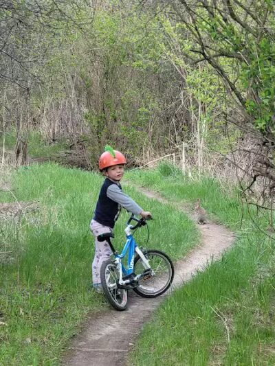 Olson Park - Ann Arbor,