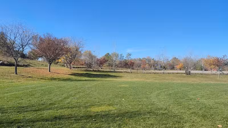 Olson Park - Ann Arbor,