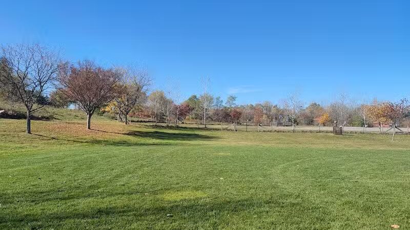 Olson Park - Ann Arbor,