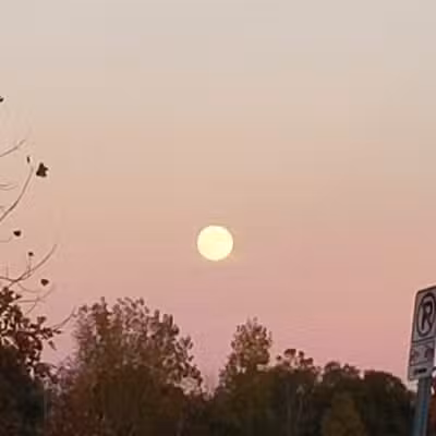 Olson Park - Ann Arbor,