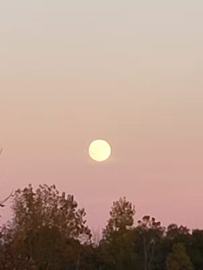 Olson Park - Ann Arbor,