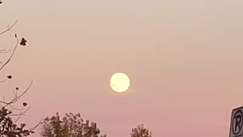 Olson Park - Ann Arbor,