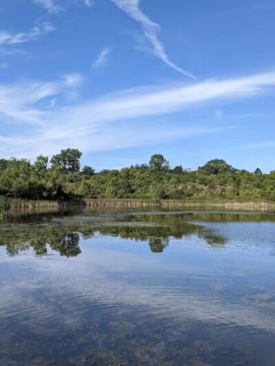 Olson Park - Ann Arbor,