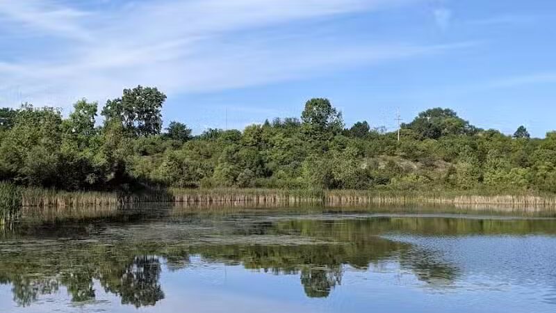 Olson Park - Ann Arbor,
