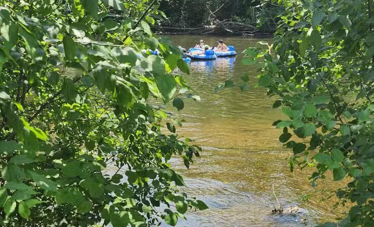 Riverside Park - Ann Arbor,