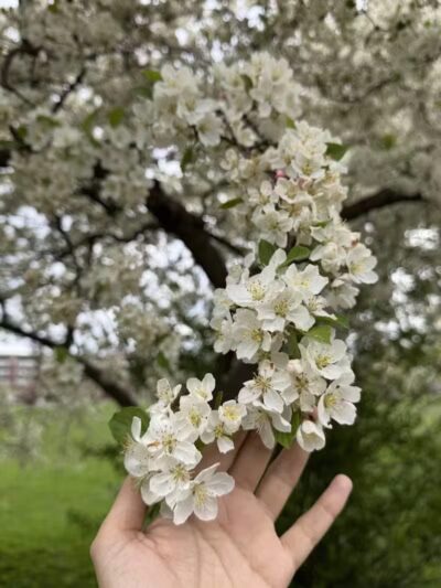 Riverside Park - Ann Arbor,