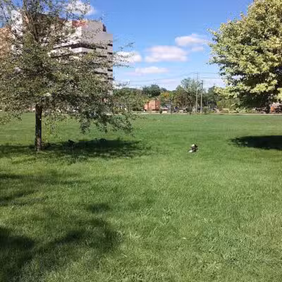 Riverside Park - Ann Arbor,