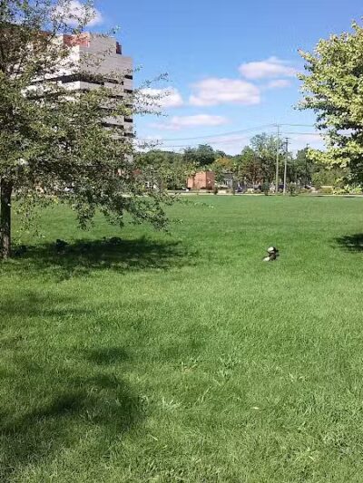 Riverside Park - Ann Arbor,