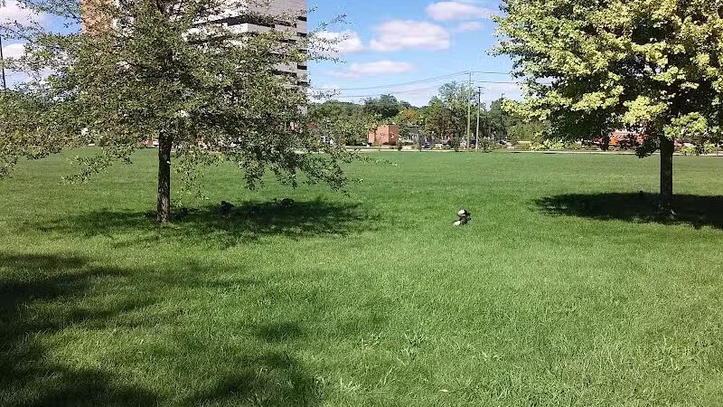 Riverside Park - Ann Arbor,