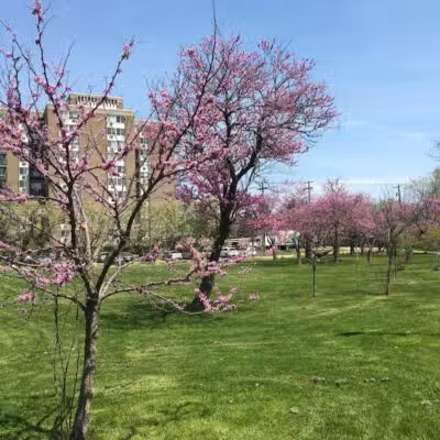 Riverside Park - Ann Arbor,
