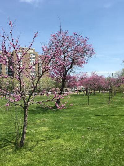 Riverside Park - Ann Arbor,