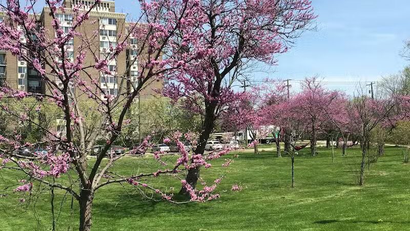 Riverside Park - Ann Arbor,