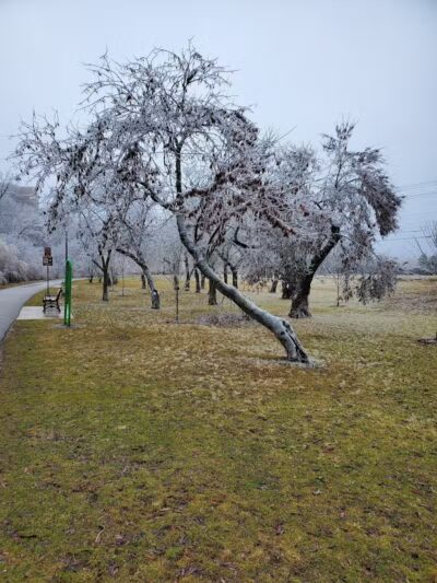 Riverside Park - Ann Arbor,