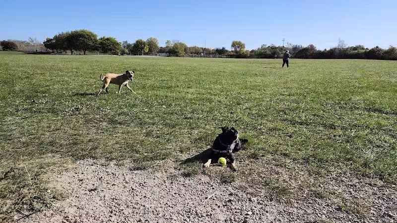 Swift Run Dog Park - Ann Arbor, MI