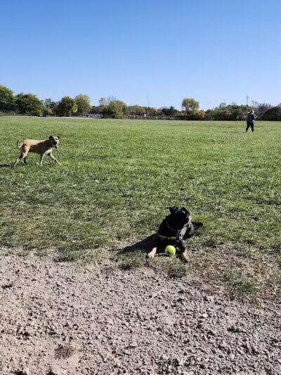 Swift Run Dog Park - Ann Arbor, MI