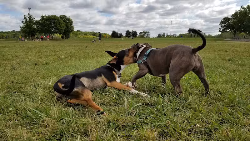 Swift Run Dog Park - Ann Arbor, MI