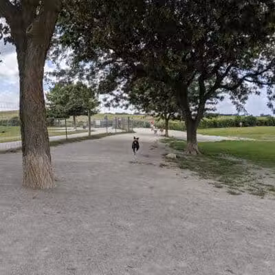 Swift Run Dog Park - Ann Arbor, MI