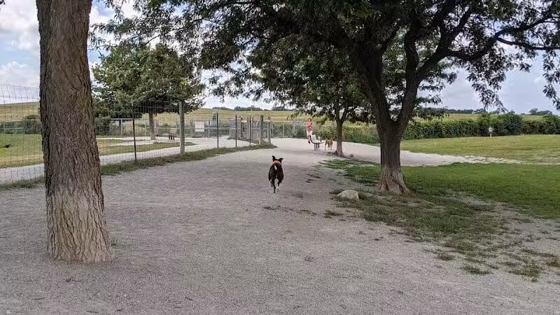 Swift Run Dog Park - Ann Arbor, MI