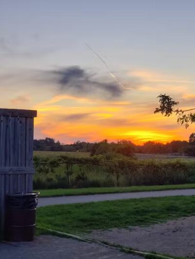 Swift Run Dog Park - Ann Arbor, MI