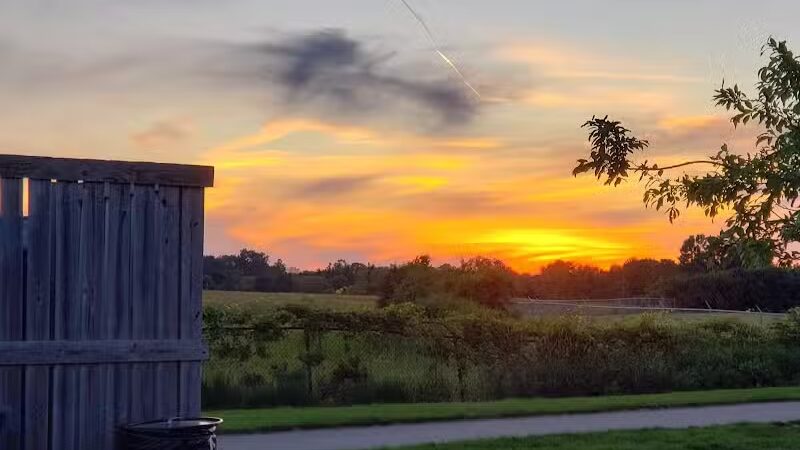 Swift Run Dog Park - Ann Arbor, MI