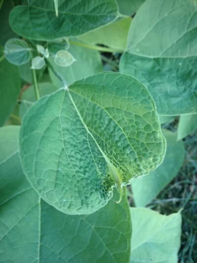 The Ponds Park - Ann Arbor,