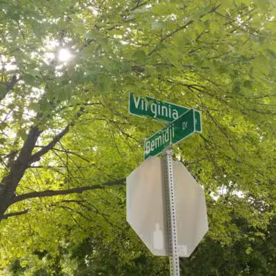 Virginia Park - Ann Arbor,