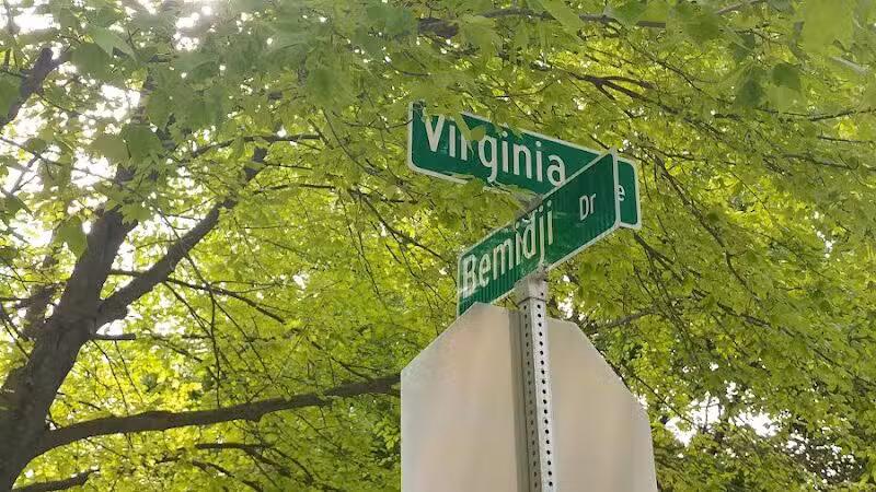 Virginia Park - Ann Arbor,