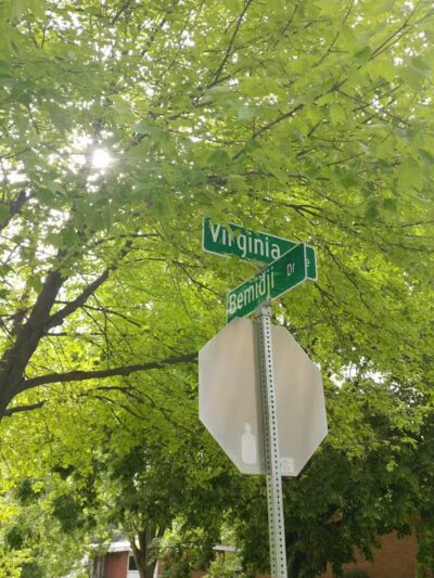 Virginia Park - Ann Arbor,