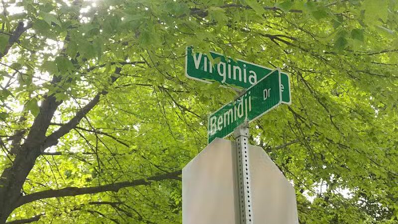 Virginia Park - Ann Arbor,