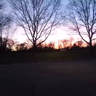 Virginia Park - Ann Arbor,