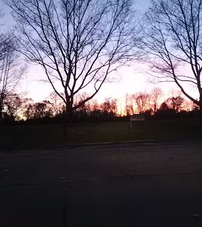 Virginia Park - Ann Arbor,