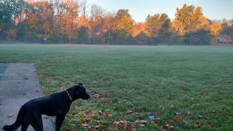 Virginia Park - Ann Arbor,