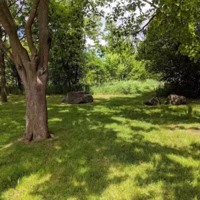 Ward Park - Ann Arbor,