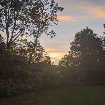 Wurster Park - Ann Arbor,