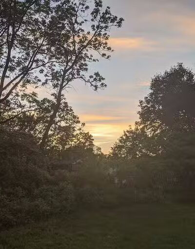 Wurster Park - Ann Arbor,