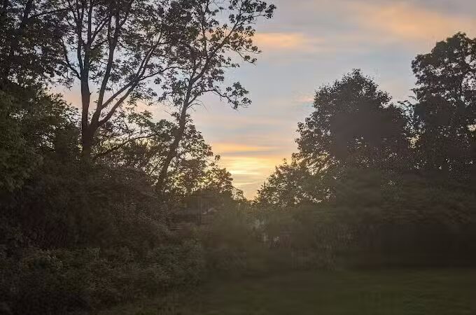 Wurster Park - Ann Arbor,