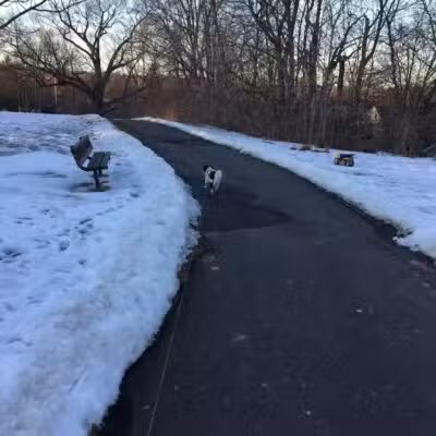 Wurster Park - Ann Arbor,